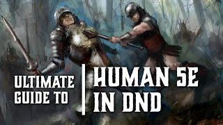 Human 5e  Races for Dungeons and Dragons [upl. by Tesil]