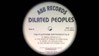 Dilated Peoples  Work The Angles Instrumental [upl. by Pouncey636]