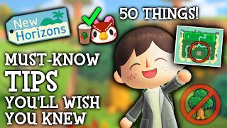 50 Things I WISH I Knew Sooner in Animal Crossing New Horizons [upl. by Nawj]