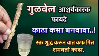 गुळवेलाचे चमत्कारिक फायदे  काढा कसा बनवावा शुगर पित्त सांधेदुखी प्रतिकारशक्ती giloy gulvel fayde [upl. by Ahseken131]