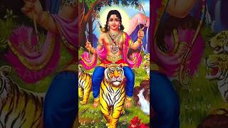 அன்னதான பிரபுவே  Annadana Prabhuve  Ayyappa Devotional Song shorts [upl. by Winnick]