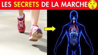 Les Bienfaits de la Marche à Pied sur le Corps 👉🏻 Que Vous Ignorez [upl. by Hairahs663]