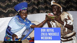 Royal ZuluNdebele Traditional Wedding Ceremony Village Setting in Bulawayo Ndebele wedding songs [upl. by Ellek]