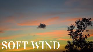 Soft Wind Sound Sounds To Help Sleep [upl. by Ivonne]