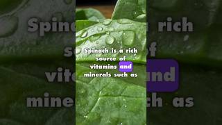 SPINACH Holds The Secret To AMAZING Health [upl. by Slocum]