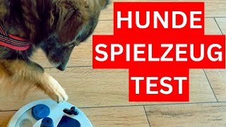 Hundespielzeug Test 🐶 Intelligenzspielzeug für deinen Hund [upl. by Ferretti17]