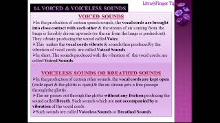 Organs of Speech RespiratoryPhonatoryArticulatory Voiced amp VoicelessOralNasalNasalized Sounds [upl. by Otila]