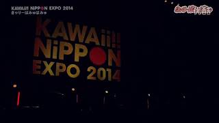 Kyary pamyu pamyu kawai Nippon expo 2014 music nanda collection Family party kira kira killer [upl. by Enrique]