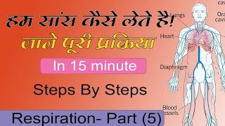 Respiration Step By Step By Azhar Sir jtet ctet kvs kvsdsssb [upl. by Viridi]