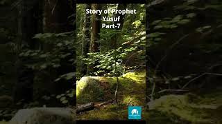 Prophet Yusufs Triumph Story of Prophet Yusuf Part 7 [upl. by Sakhuja]