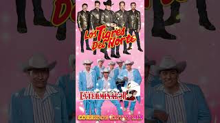 Grupo Exterminador Los Tigres Del Norte 🪗Corridos shorts corridos [upl. by Ddahc]