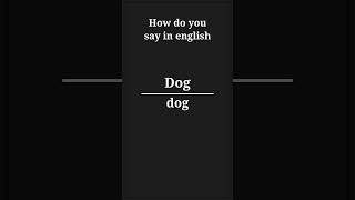 how do you say dog in english [upl. by Atinas]