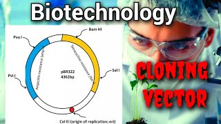 biotechnology cloning vector [upl. by Ryder200]