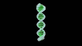 Digital PCR Using the BioRad QX100™ ddPCR™ System [upl. by Savill546]