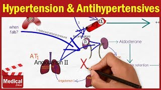 Pharmacology  Hypertension and Antihypertensive Drugs FROM A TO Z [upl. by Orgel]