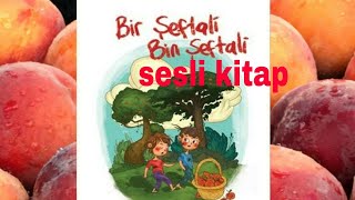 quotBİR ŞEFTALİ BİN ŞEFTALİquot SAMED BEHRENGİ SESLİ KİTAP TEK PARÇA [upl. by Egdirdle]