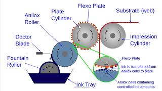 Flexography  Basic Introduction [upl. by Chernow672]