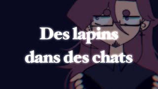 Des lapins dans des chats meme flipaclip [upl. by Namrac]