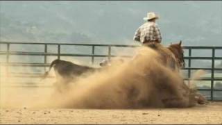 Bridleless Sliding Stop Road to the Horse quotSizzlequot [upl. by Radnaxela179]