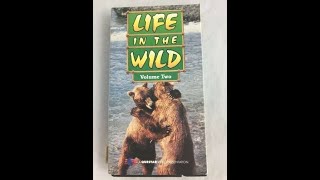 Opening to Life in the Wild Volume 2 1994 VHS 1995 Reprint [upl. by Silvan]