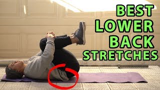 11 Best Lower Back Stretches For Pain amp Stiffness [upl. by Basil306]