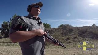 Jeremy Stafford Slugs Birdshot or Buckshot for Home Defense [upl. by Adnahsat128]