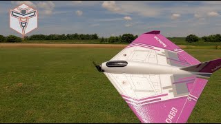 RadioLink D460 RC Wing Full Flight Video [upl. by Haelat57]