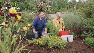 Calendrier du jardinier juin que faire au jardin ou sur la terrasse   Truffaut [upl. by Aihtekal]