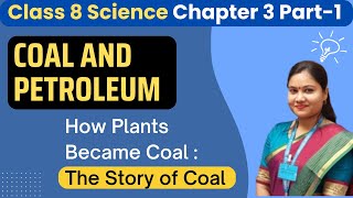 Class 8th Science Chapter 3 Coal and Petroleum  Story of Coal Class 8  Coalification [upl. by Beare341]