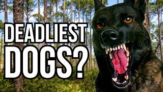 These 6 Dog Breeds And Types Are Statistically The Most Dangerous In The US  Nature VS Nurture [upl. by Tristas]