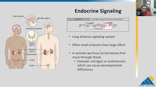 BIOL201 Ch91  Signaling Molecules and Cellular Receptors [upl. by Rawdin]