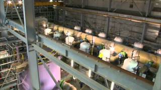 Fleur Australe Episode 15 VGB  The Wonthaggi plant in Australia [upl. by Nnybor]