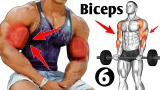 6 Bigger Biceps Exercises At Gym  Biceps Workout [upl. by Yendahc958]