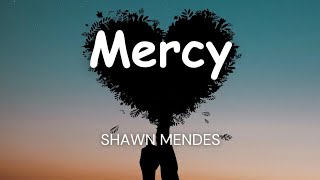 Shawn Mendes  Mercy Lyrics [upl. by Eiresed769]