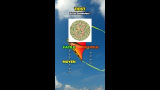 TEST daltonisme  10 étapes test daltonisme testdevue [upl. by Ynogoham]