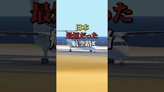 日本最短だった航空路 航空機 飛行機 雑学 [upl. by Ahsirtal921]