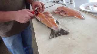 How to Fillet Brown Trout  Tips and Techniques by Knifetechnz [upl. by Jereld]