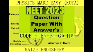 PREVIOUS YEAR NEET 2023 CODE E5  F5  G5  H5 QUESTION PAPER WITH ANSWER KEY MAIZE ENDOSPERM  4 [upl. by Illona]