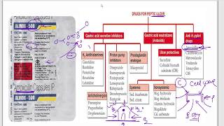 Amoxicillin  Azithromycin  Ciprofloxacin  Cefpodoxime  Moxifloxacin  Cotrimazole  Mechanism [upl. by Harvey291]