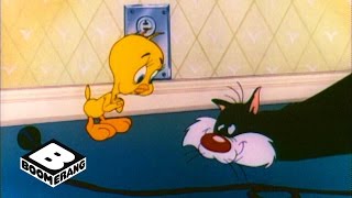 Looney Tunes Classic  Poor Puddytat  Boomerang Official [upl. by Llohcin998]