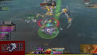 GRD Guild Wars 2  Decima  Raid Wing 8  Heal Chrono POV [upl. by Wearing]