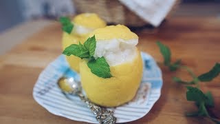 SORBETTO AL LIMONE FATTO IN CASA  Ricetta della gelateria [upl. by Gati179]