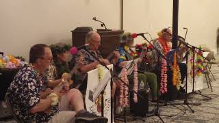 One Paddle Two Paddle Tulsa Ukulele Club [upl. by Arremat]