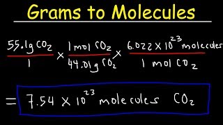 Grams to Molecules and Molecules to Grams Conversion [upl. by Yrred]