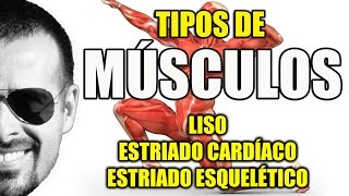 Tipos de Músculos Liso Estriado Cardíaco e Esquelético  Sistema Muscular  VideoAula 081 [upl. by Mcconaghy]