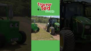 Getting The Gallop Ready 🐎  Tractor Ted Shorts  Tractor Ted Official Channel [upl. by Xenos454]