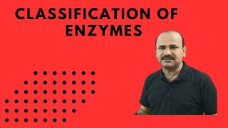 Classification of enzymes  Class biology 11  by Dr Bhojoo Mal [upl. by Hickey64]