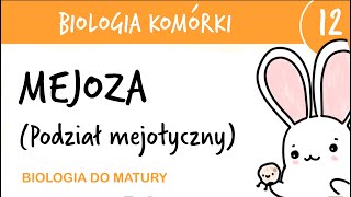 Cytologia 12  Mejoza podział mejotyczny  biologia rozszerzona przygotowanie do matury z biologii [upl. by Dloniger18]