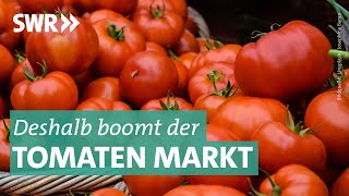 Das Geschäft mit Tomaten  Marktcheck SWR [upl. by Ahsiat]