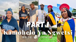 PART 1 Kamohelo Ya Ngwetsi  Welcoming Of The Bride Ceremony Vlog  Ndebele Sesotho Makoti Diaries [upl. by Adams691]